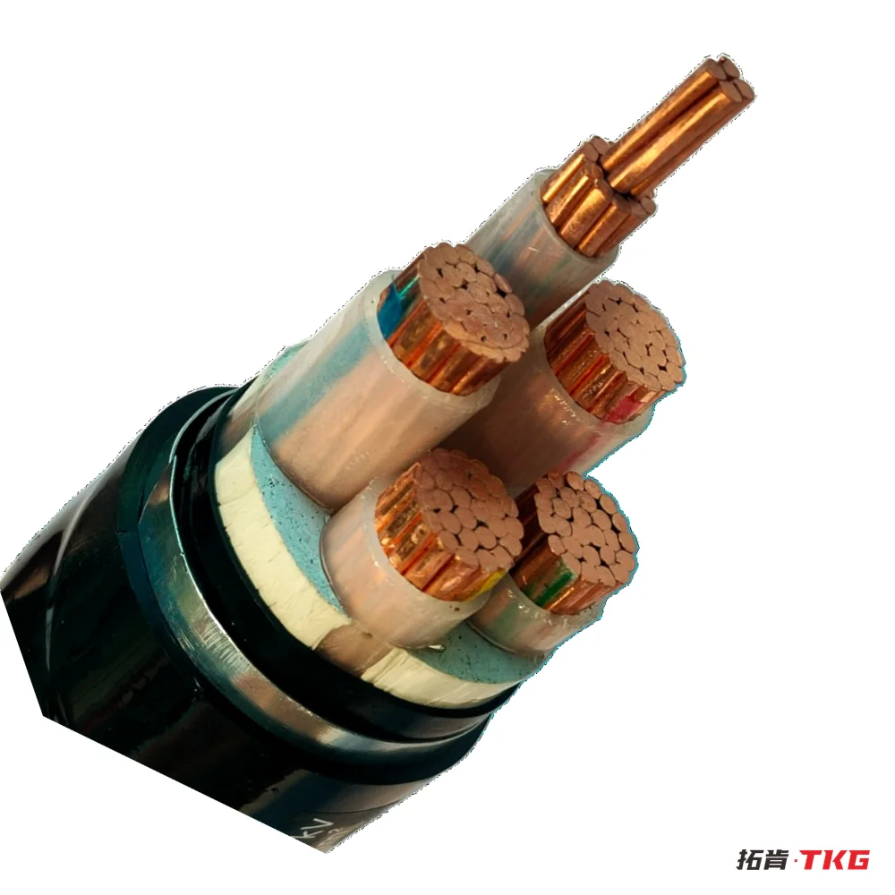 EV Charging Cable – 2