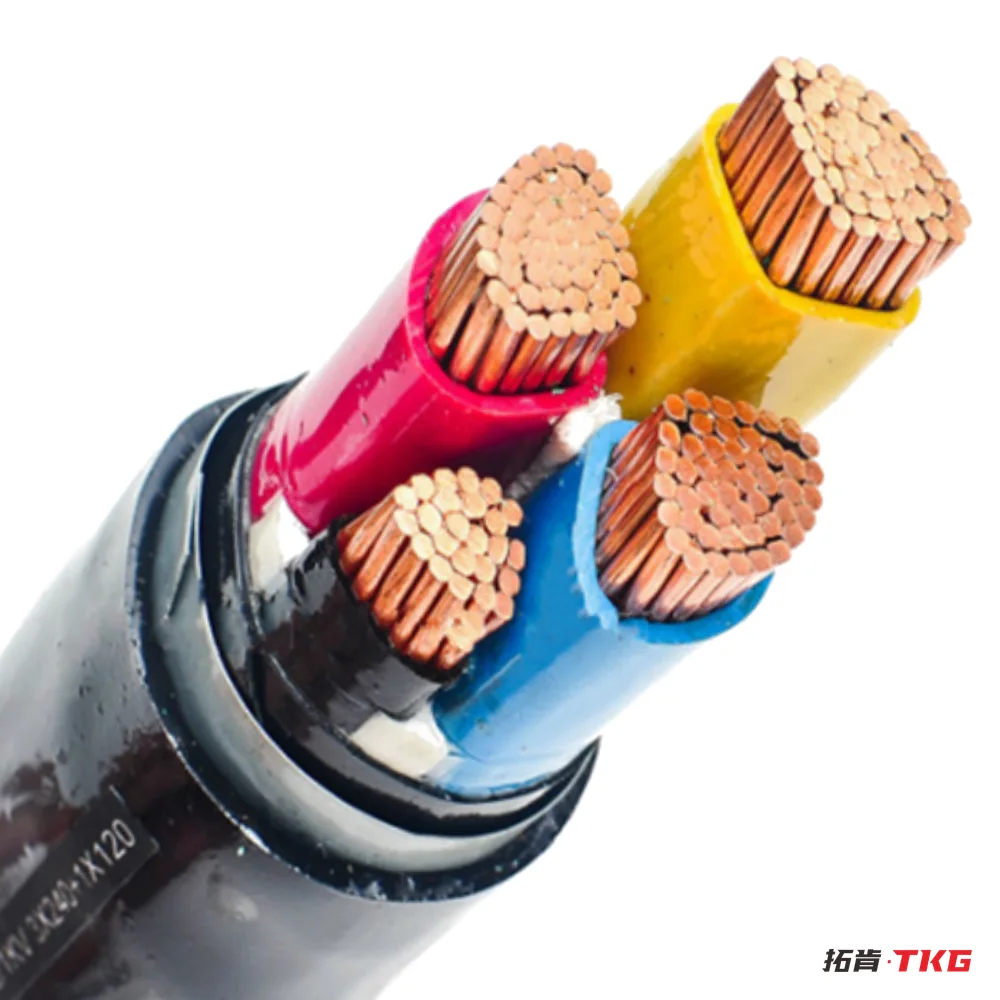 EV Charging Cable – 4