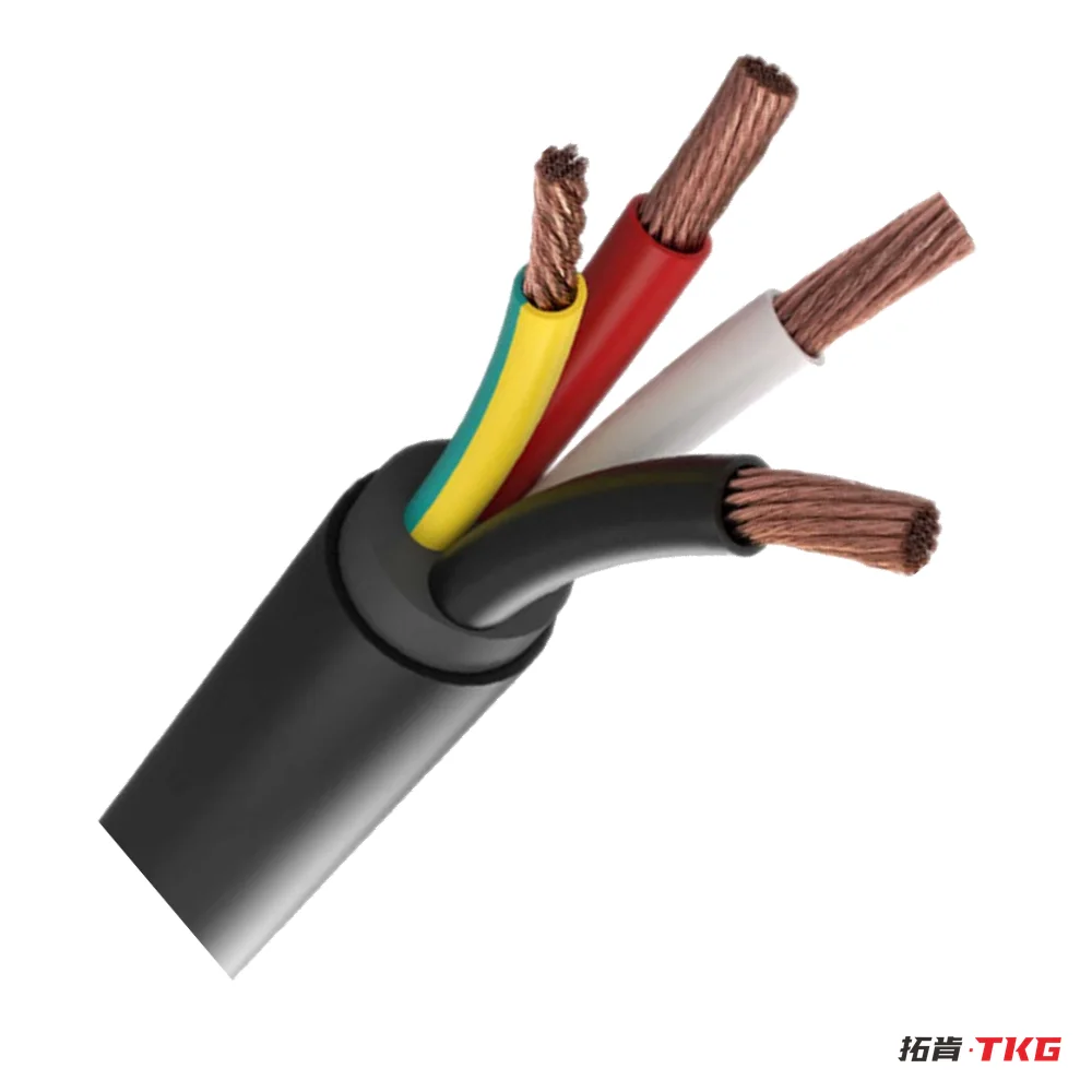 EV Charging Cable – 5