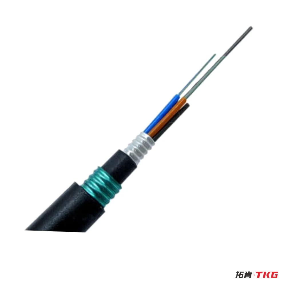 كابل ألياف ضوئية (GYTA / GYXTW / ADSS / توصيل FTTH) – 4