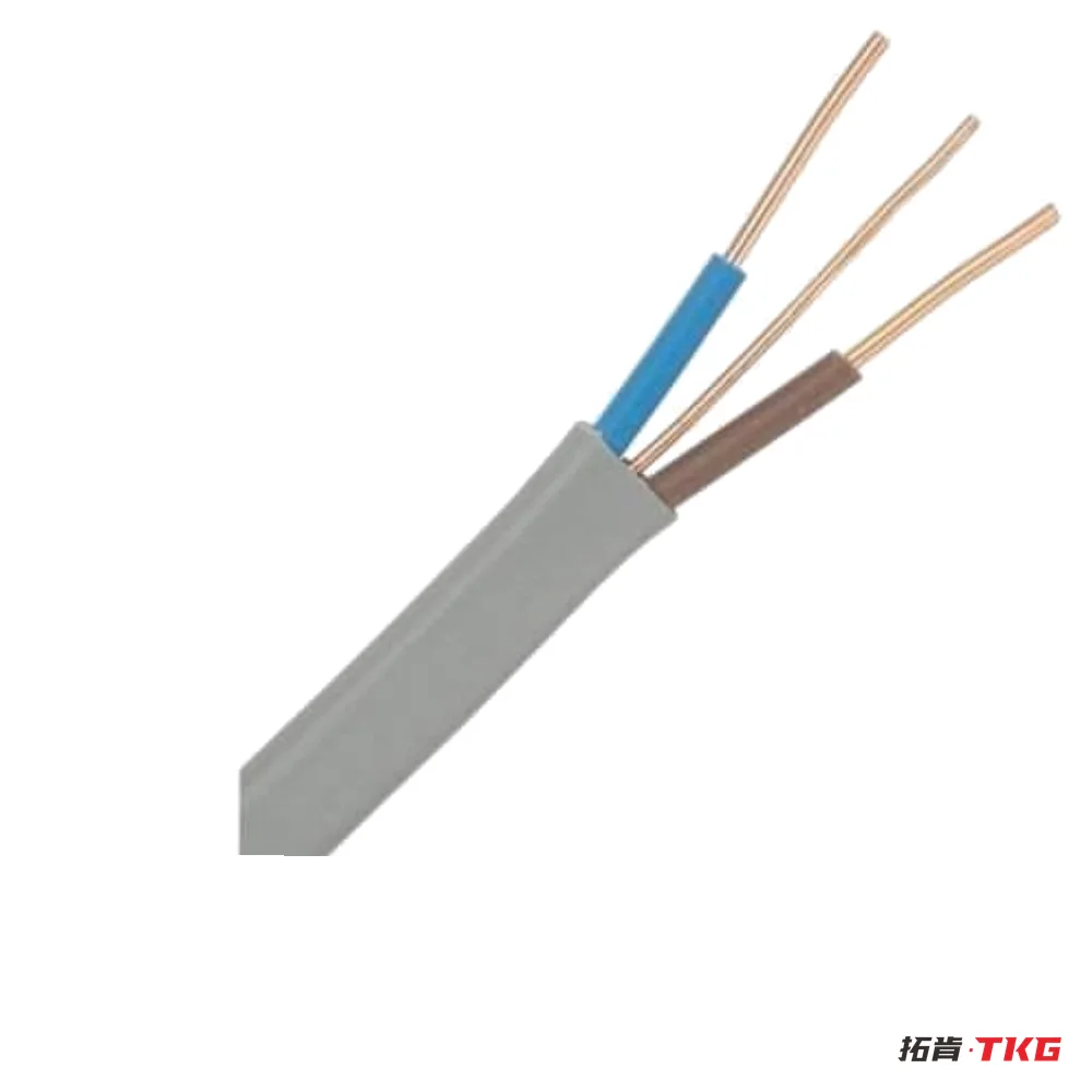 كابل مسطح بغلاف PVC (TPS / BVVB) – 4