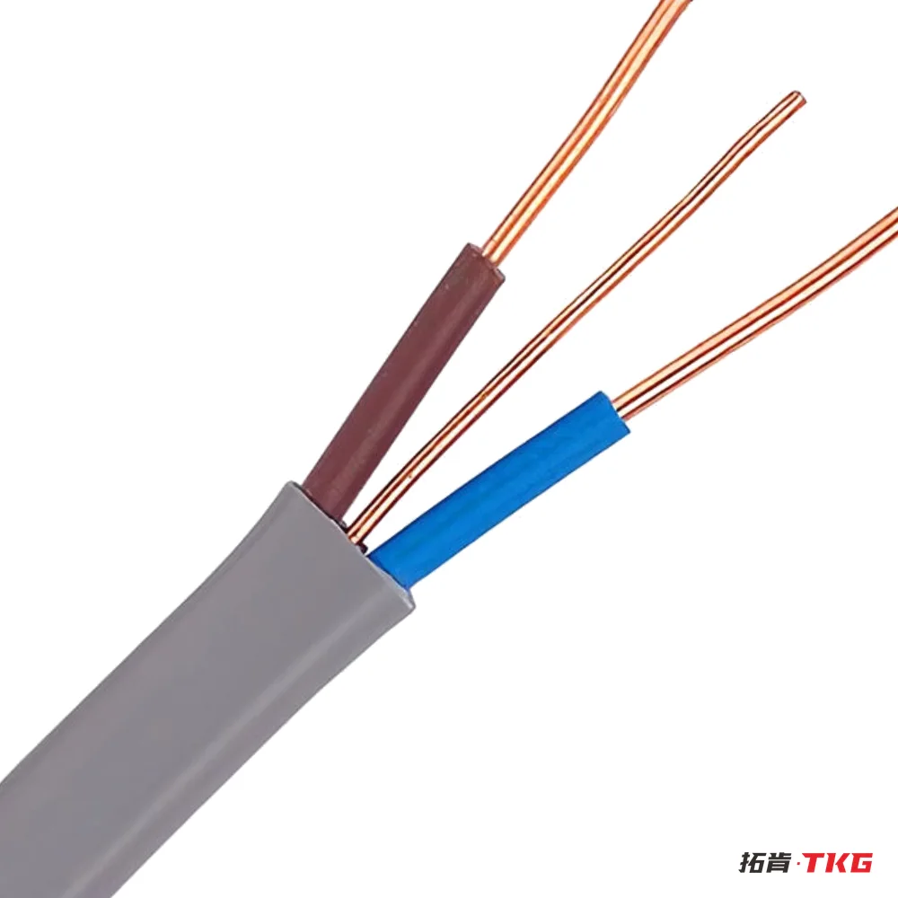 كابل مسطح ثنائي مع أرضي 6242Y / TPS – 3