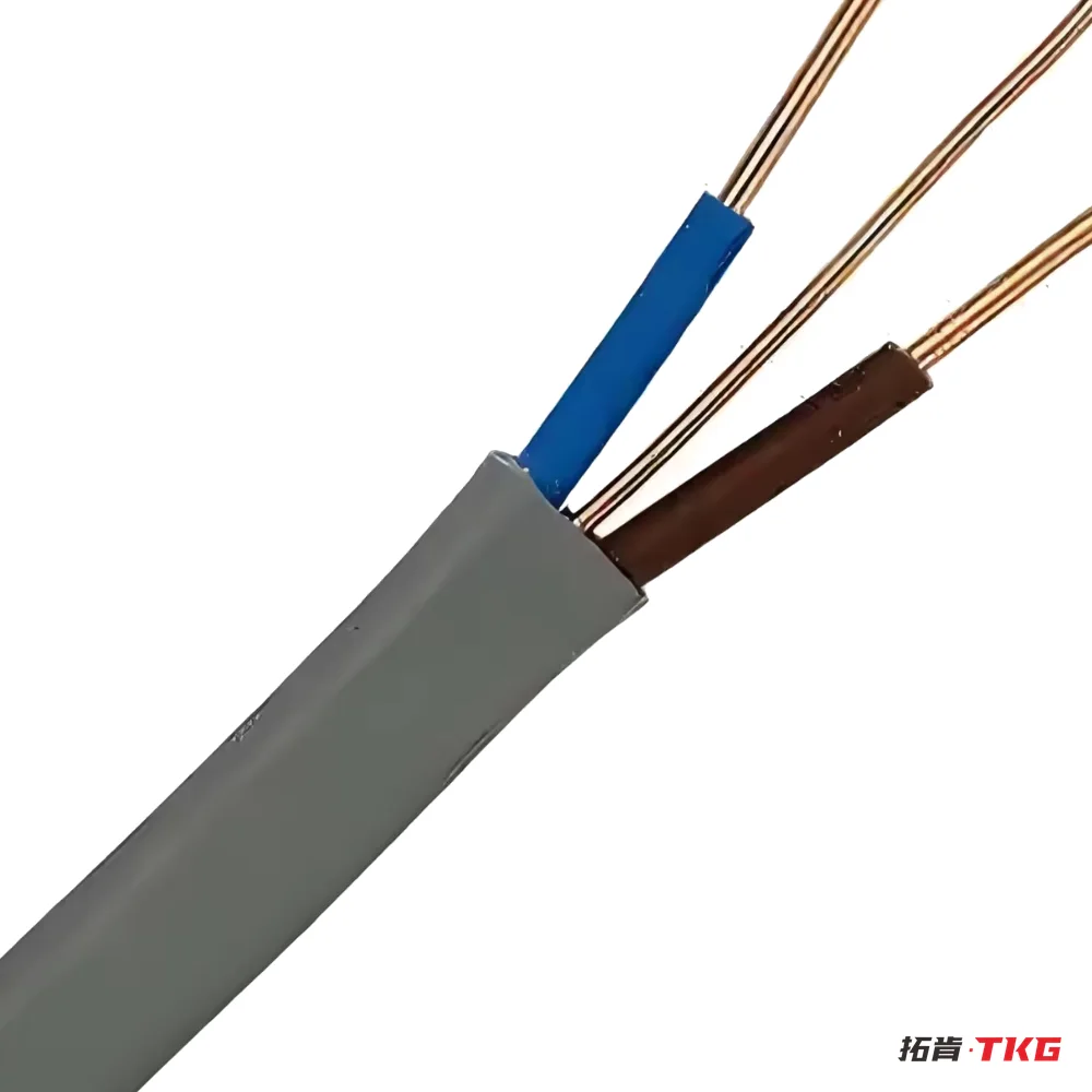 كابل مسطح ثنائي مع أرضي 6242Y / TPS – 4